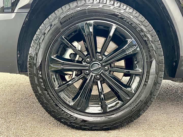 Фото 45 - Haval Raptor Hybrid