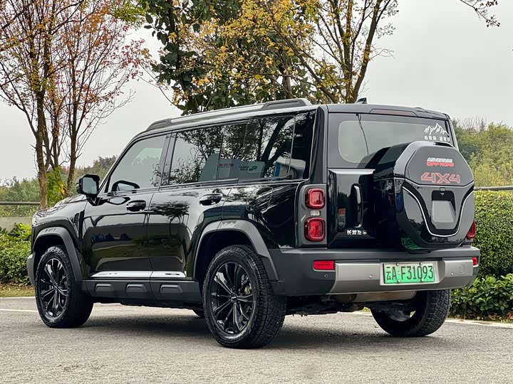 Фото 7 - Haval Raptor Hybrid