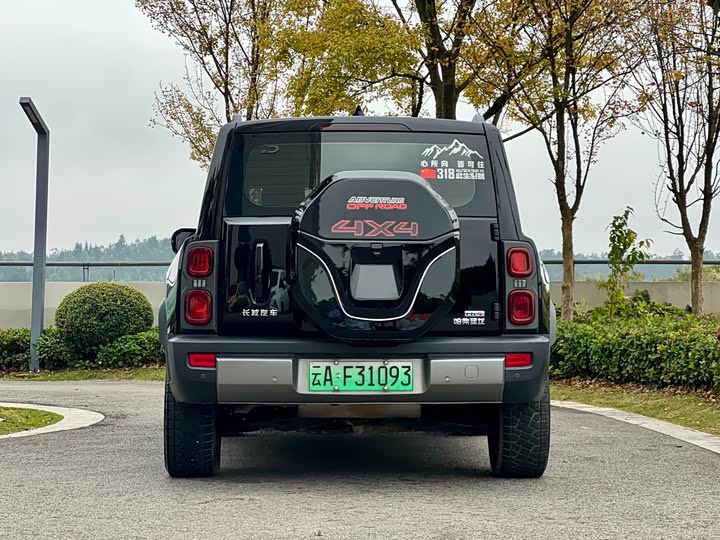 Фото 8 - Haval Raptor Hybrid