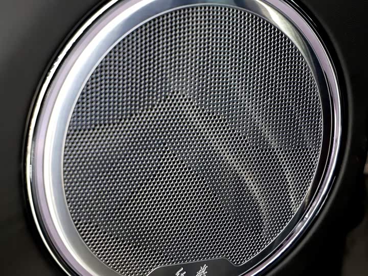 Фото 15 - Hongqi LS7 (Guoyao)