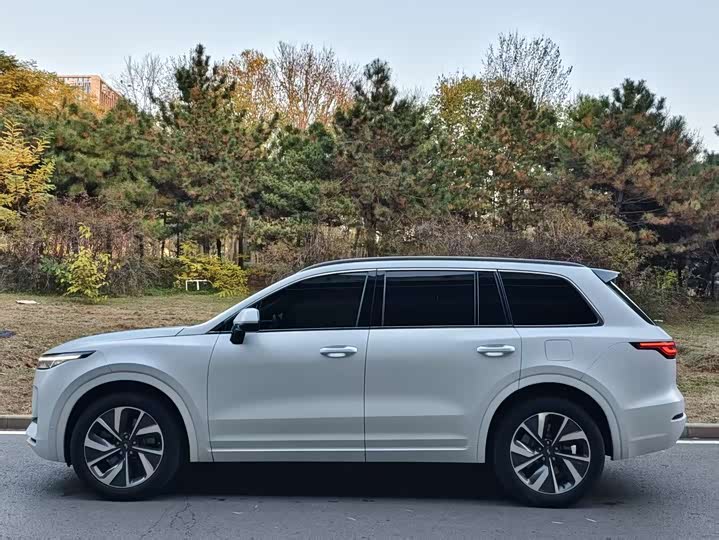 Фото 3 - LiXiang One