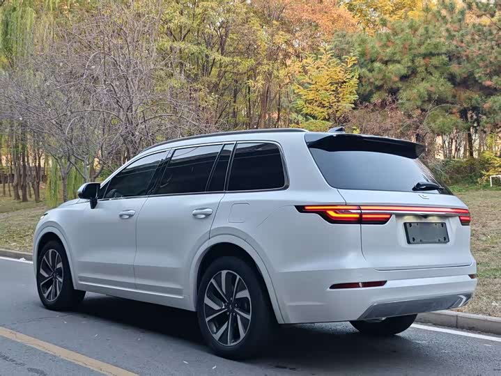 Фото 4 - LiXiang One