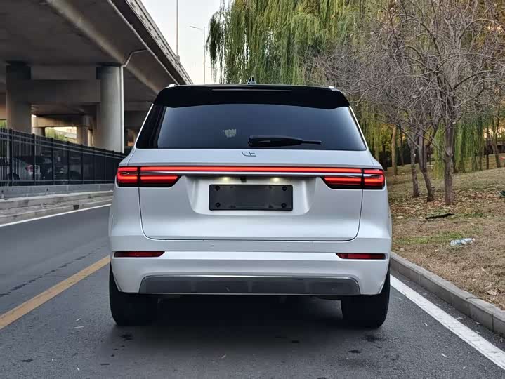 Фото 5 - LiXiang One