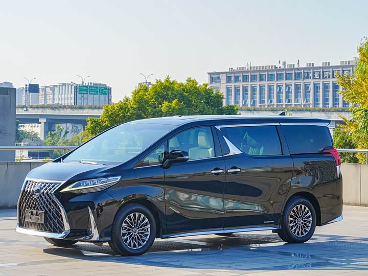 Фото 1 - Lexus LM