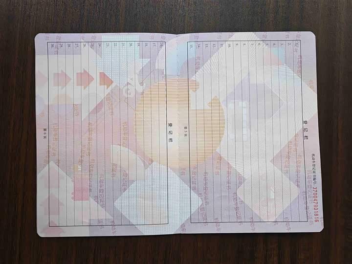 Фото 20 - GAC Trumpchi M8