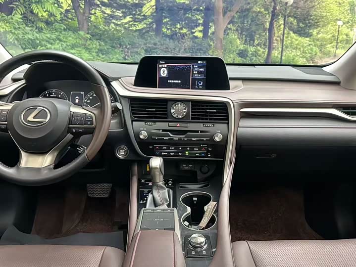 Фото 5 - Lexus RX