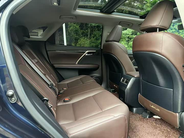 Фото 6 - Lexus RX