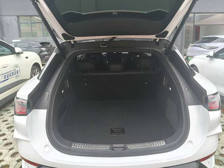 Фото 12 - BYD Sea Lion 07 EV