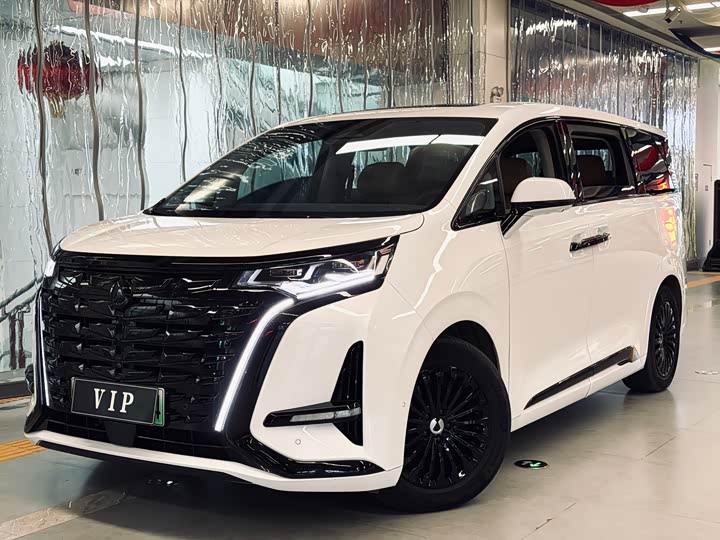 Фото 1 - Denza D9