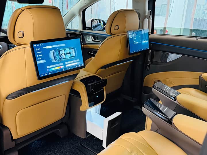 Фото 10 - Denza D9