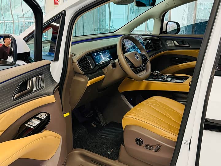 Фото 3 - Denza D9