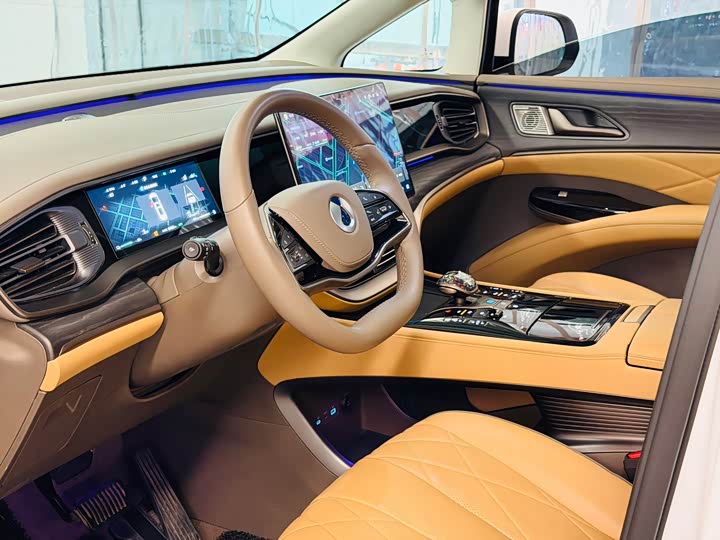 Фото 4 - Denza D9