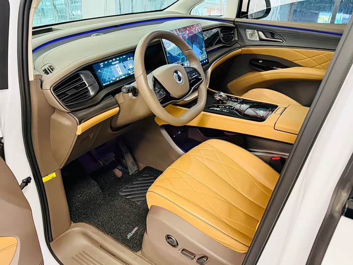 Фото 5 - Denza D9