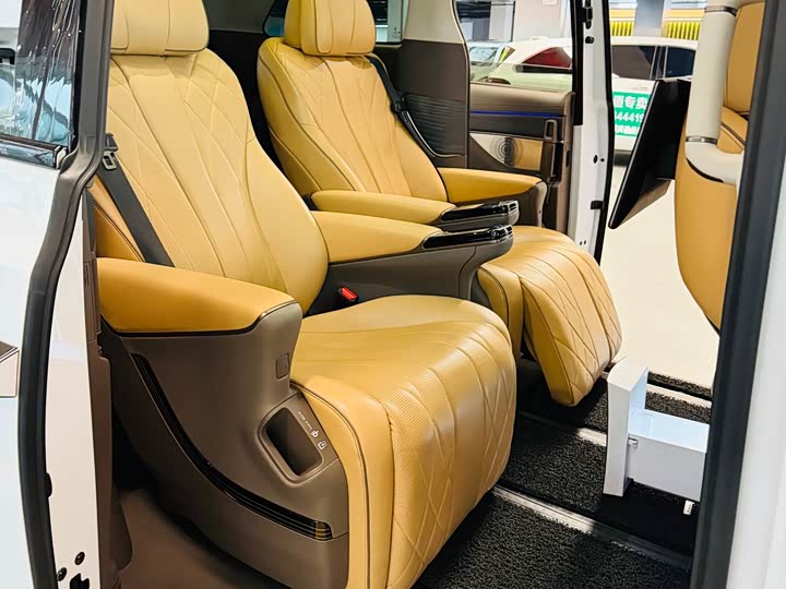 Фото 6 - Denza D9