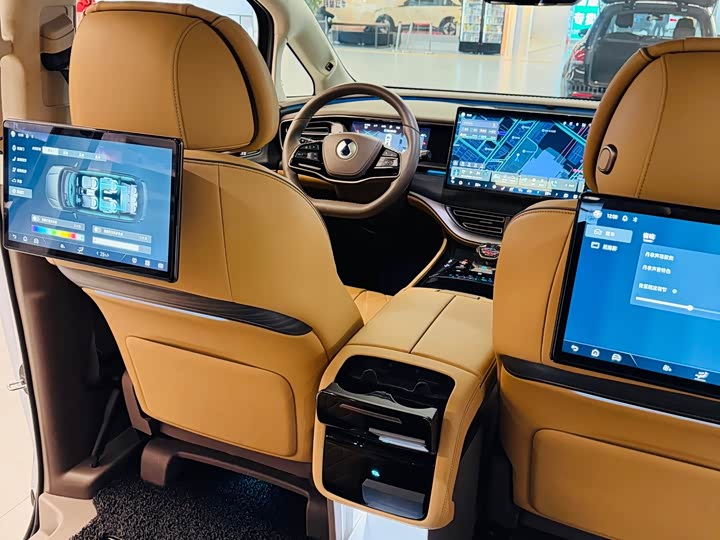 Фото 8 - Denza D9