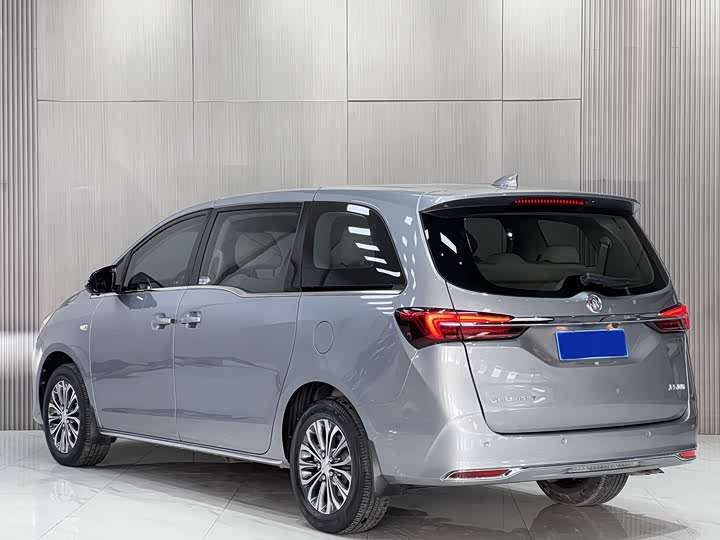 Фото 4 - Buick GL8 ES