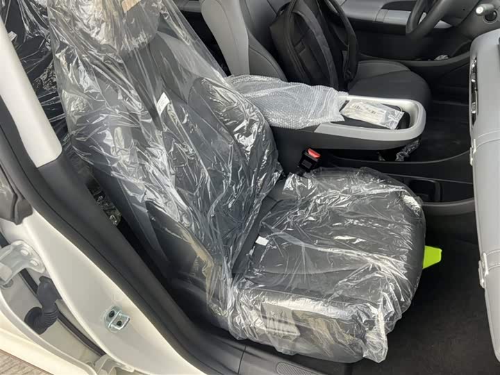 Фото 2 - Dongfeng Nammi 01