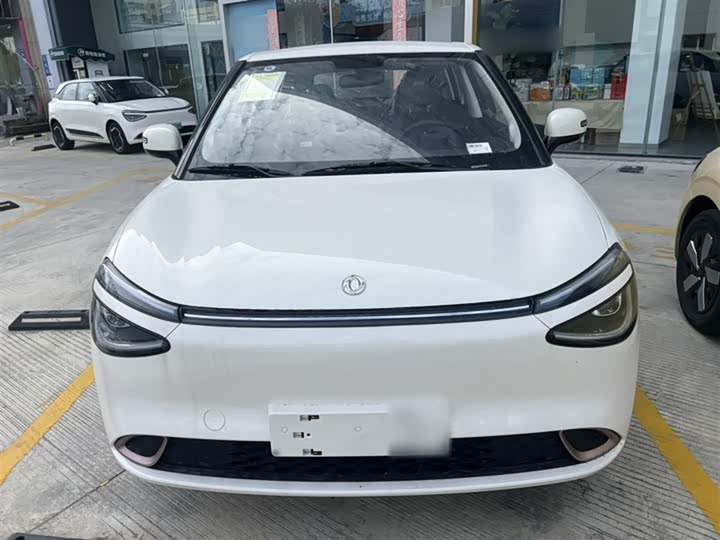 Фото 5 - Dongfeng Nammi 01