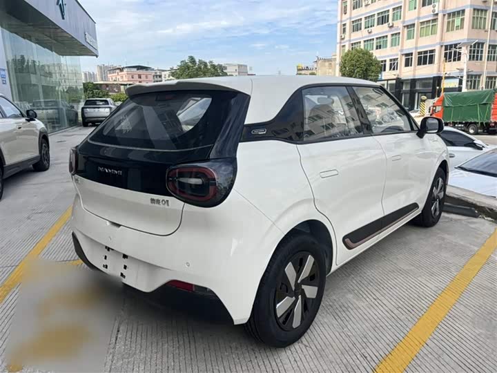 Фото 9 - Dongfeng Nammi 01