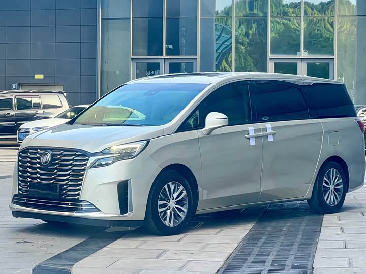 Фото 1 - Buick GL8 ES