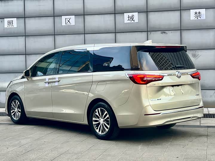 Фото 11 - Buick GL8 ES