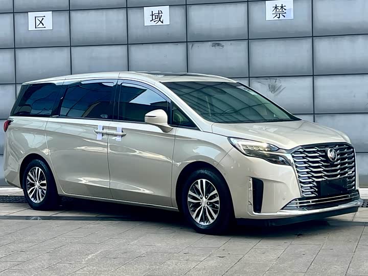 Фото 2 - Buick GL8 ES