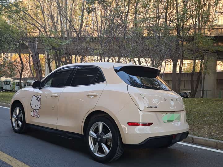 Фото 3 - Ora Good Cat (03)