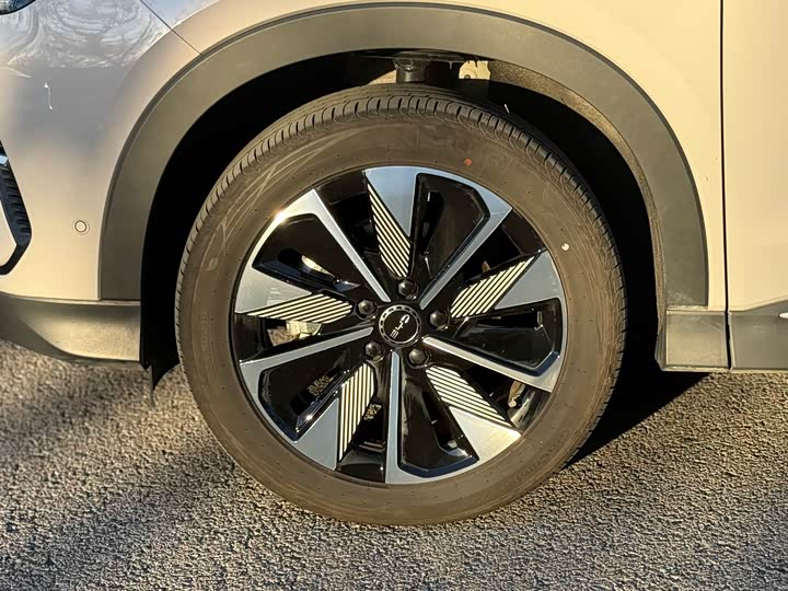 Фото 5 - BYD Song Plus Hybrid/EV