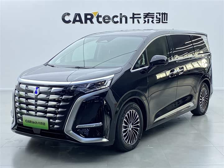 Фото 1 - Denza D9