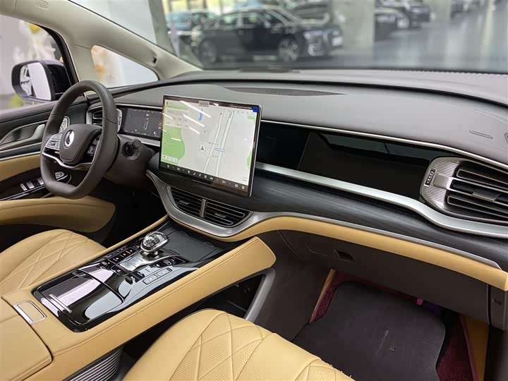 Фото 10 - Denza D9