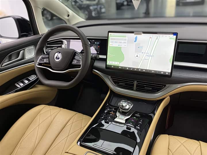 Фото 15 - Denza D9