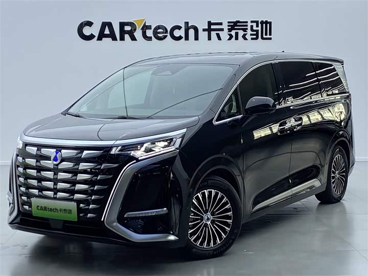 Фото 2 - Denza D9