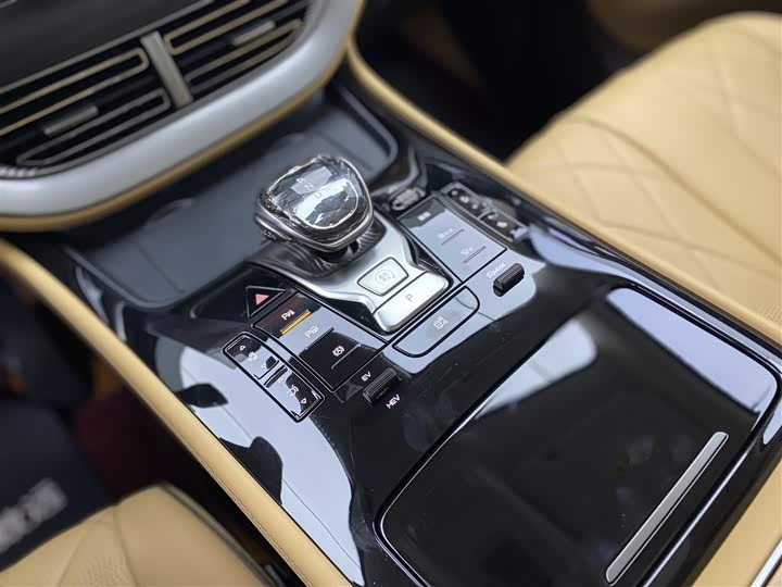 Фото 20 - Denza D9