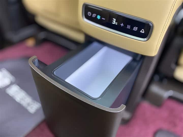 Фото 23 - Denza D9