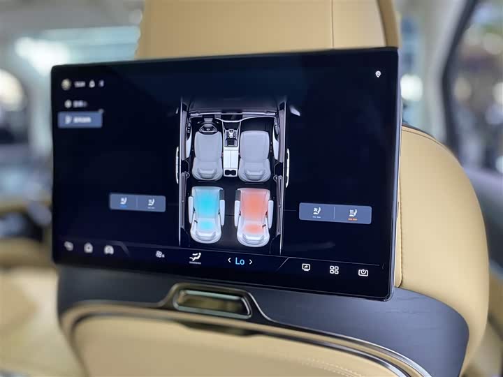 Фото 25 - Denza D9