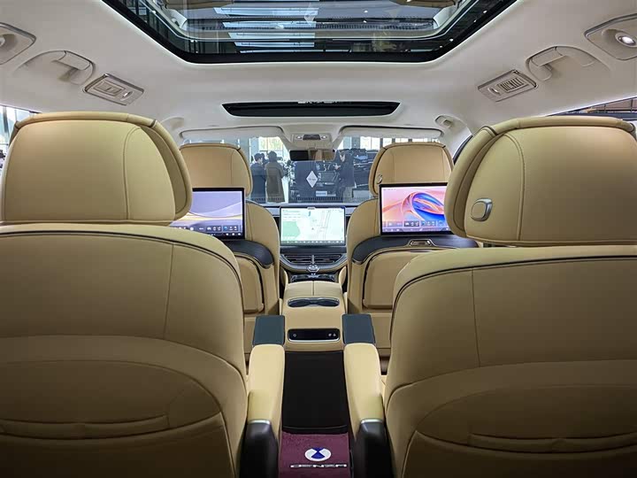 Фото 26 - Denza D9