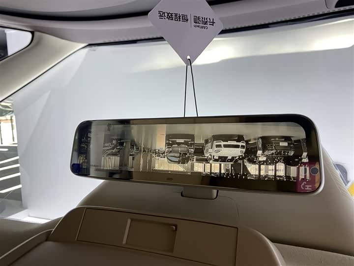 Фото 27 - Denza D9