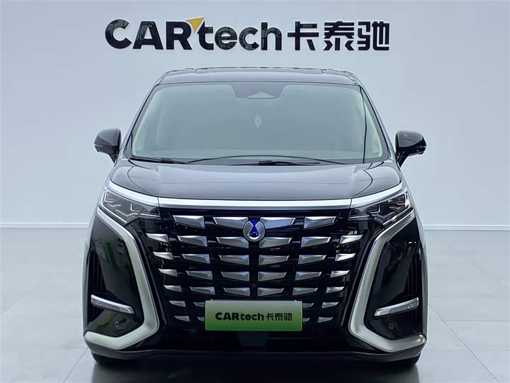 Фото 3 - Denza D9