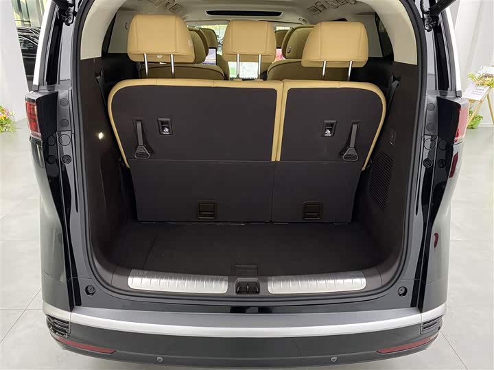 Фото 30 - Denza D9