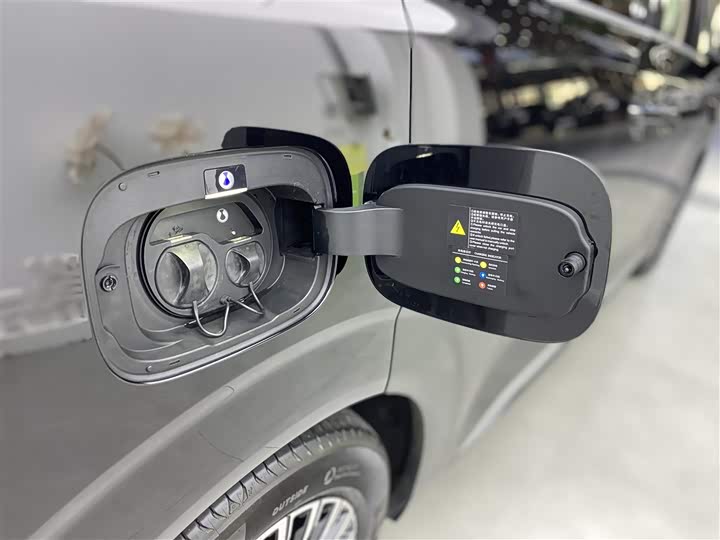 Фото 32 - Denza D9