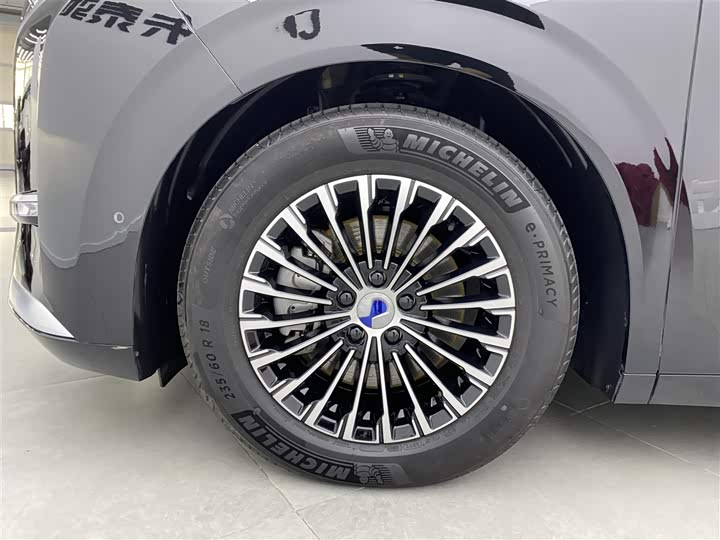 Фото 38 - Denza D9