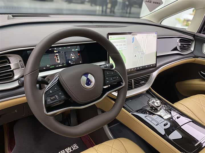 Фото 6 - Denza D9