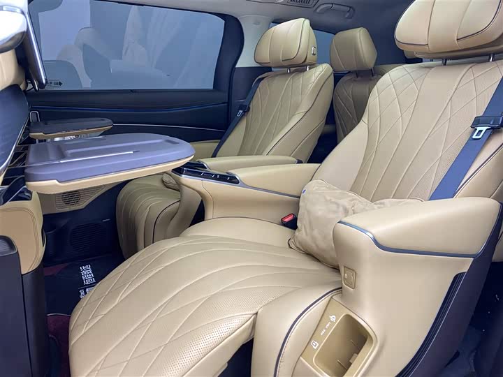 Фото 8 - Denza D9