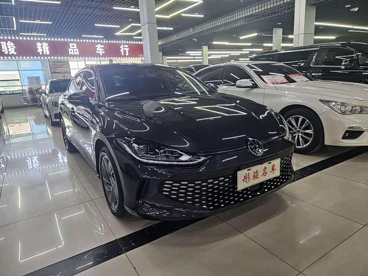 Фото 3 - Volkswagen Lamando L