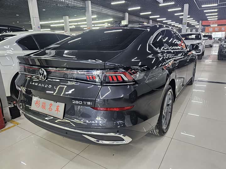 Фото 9 - Volkswagen Lamando L