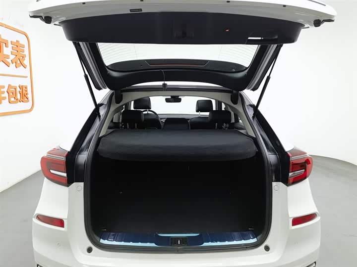 Фото 16 - Honda Avancier