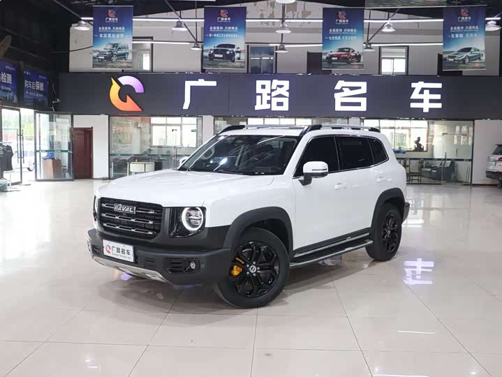 Фото 2 - Haval Dargo