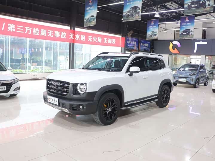 Фото 3 - Haval Dargo