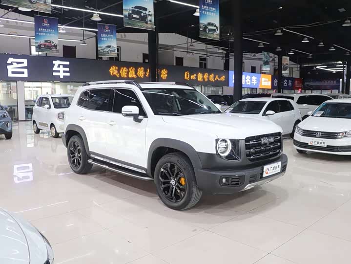 Фото 4 - Haval Dargo