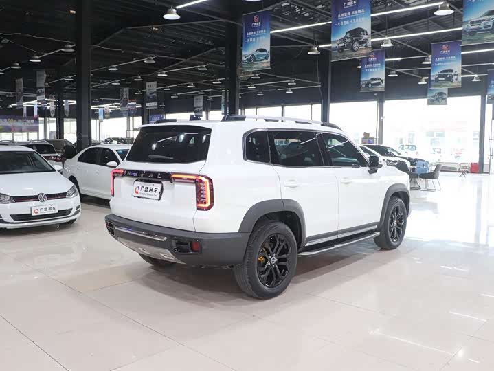 Фото 5 - Haval Dargo